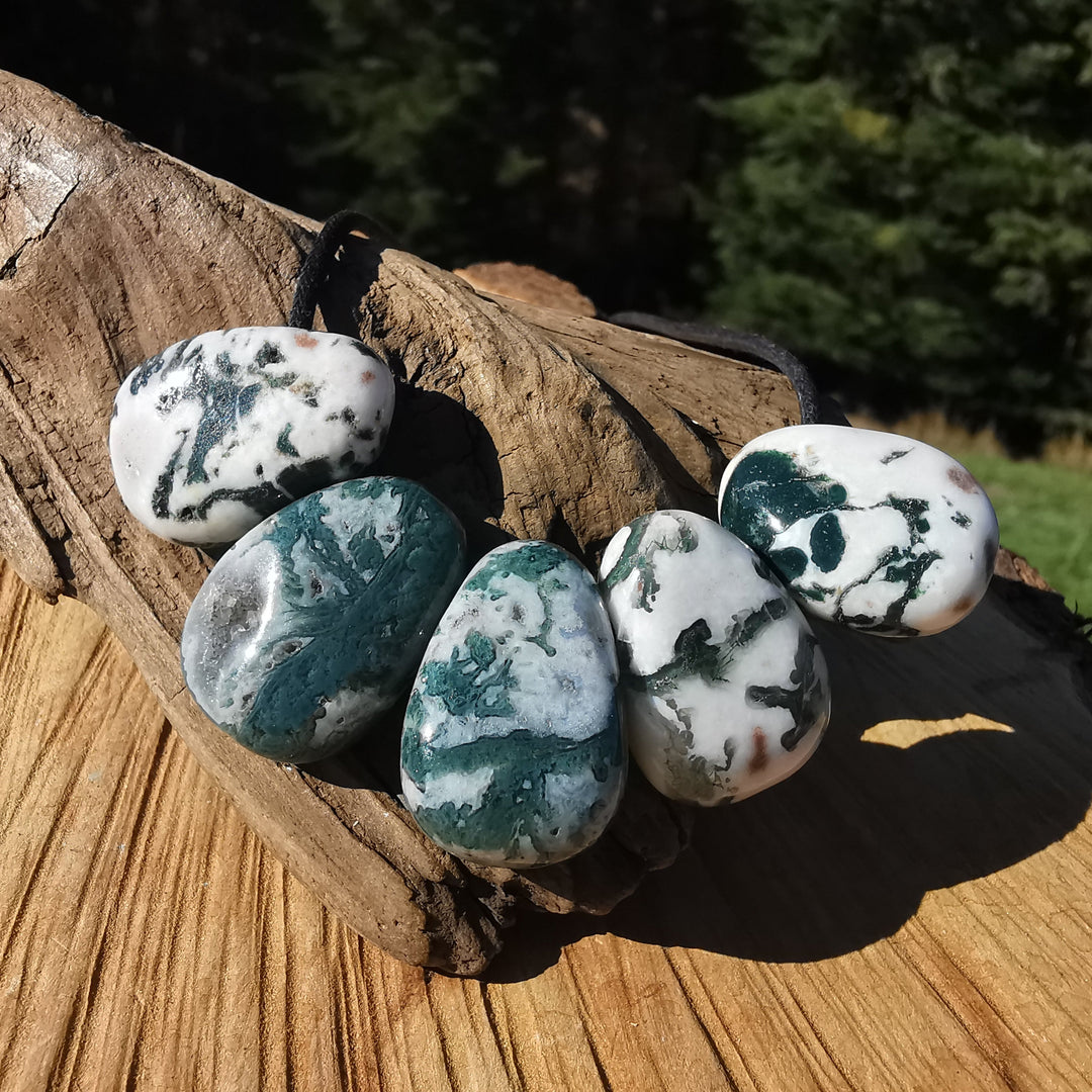 Baumachat - NatURverbindung