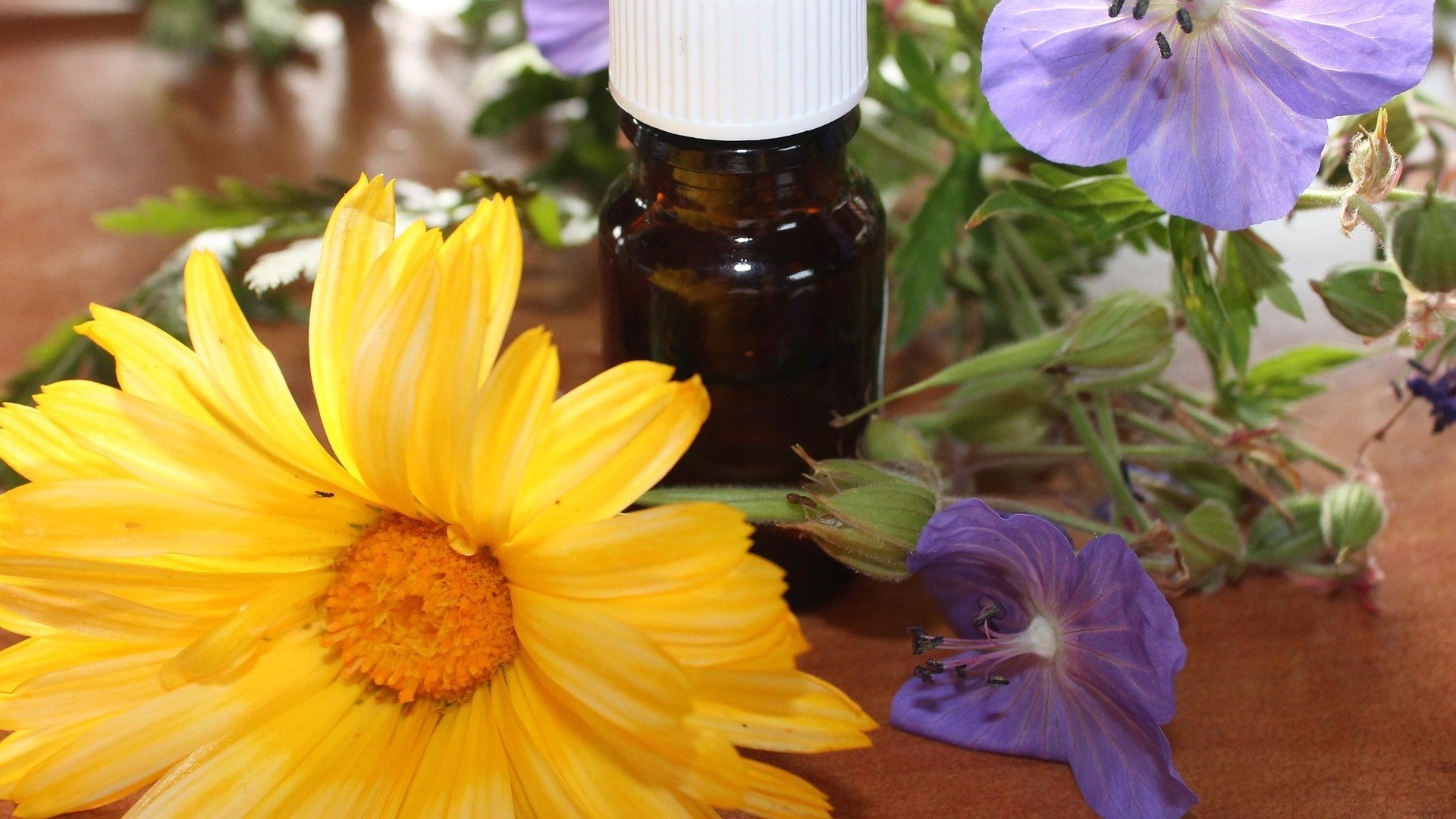 Allgäuer Blütenessenzen Themenmischungen