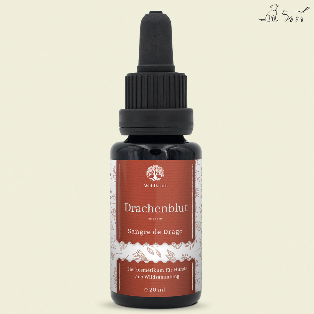 Drachenblut - Sangre de Drago aus Wildsammlung 20ml