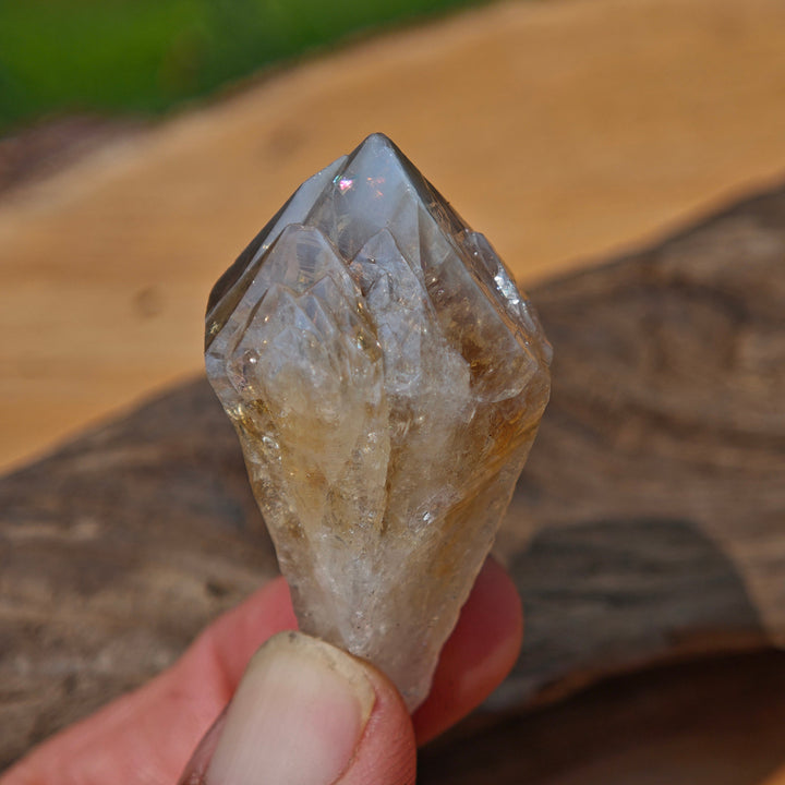 Citrin Spitzen Roh zur individuellen Auswahl