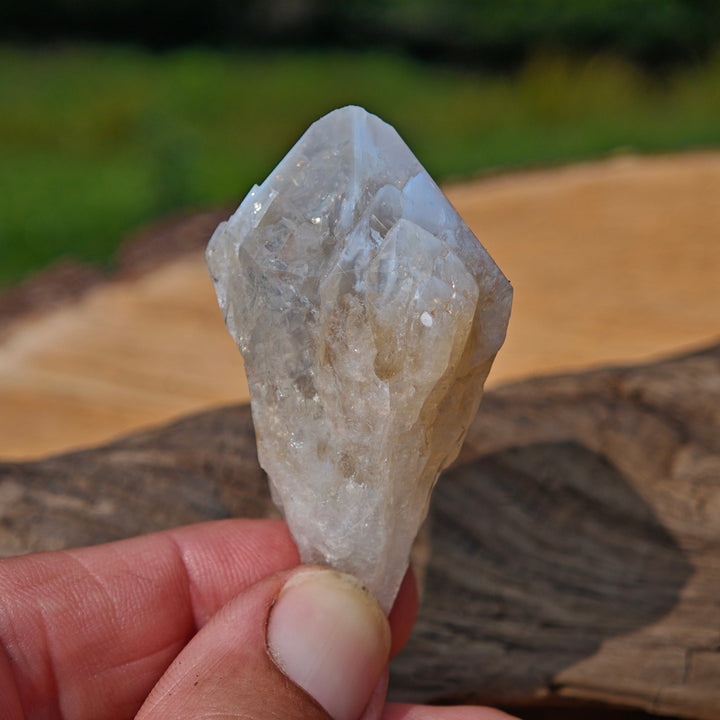 Citrin Spitzen Roh zur individuellen Auswahl