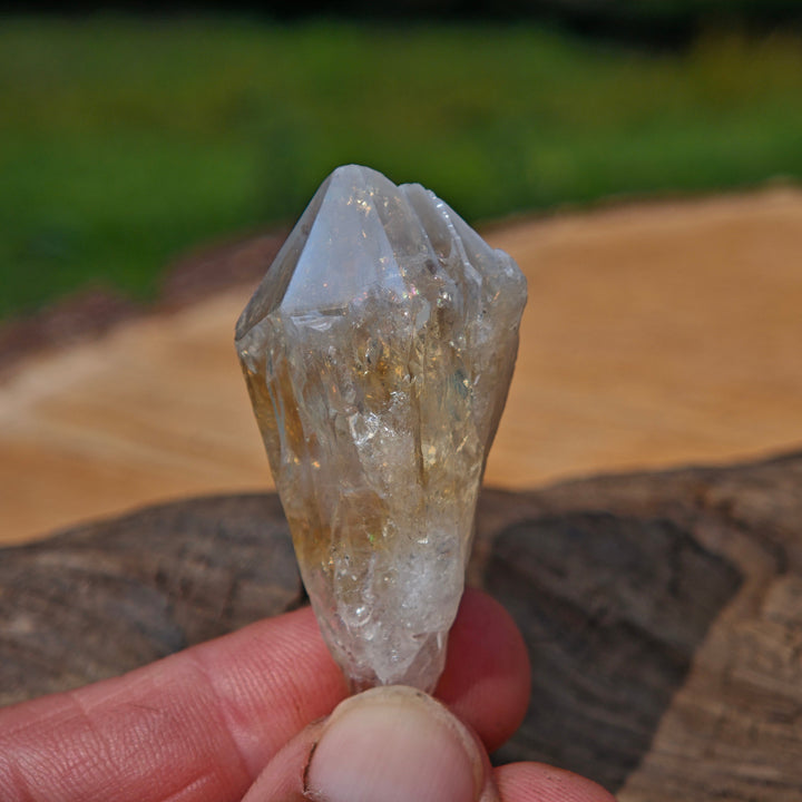 Citrin Spitzen Roh zur individuellen Auswahl