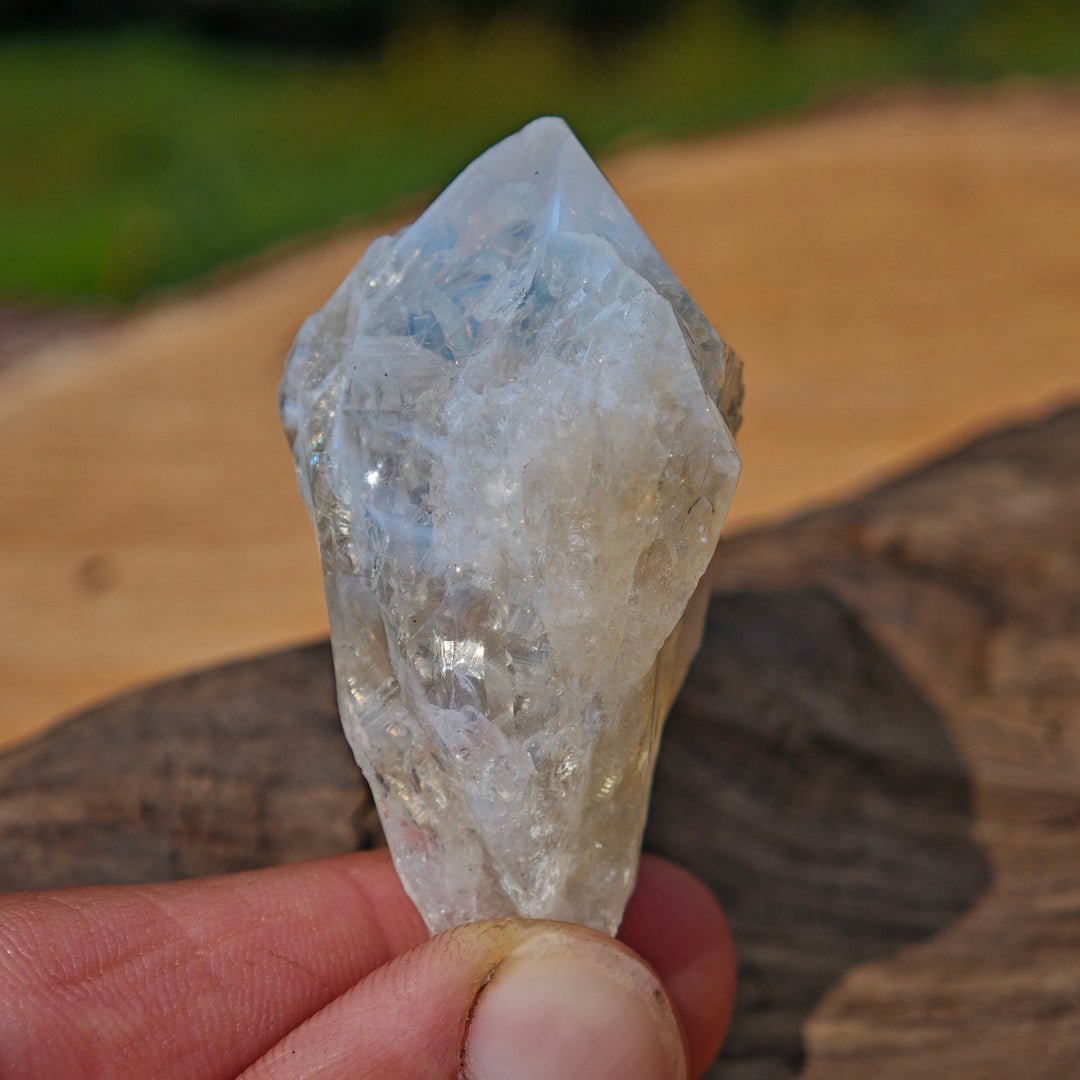 Citrin Spitzen Roh zur individuellen Auswahl