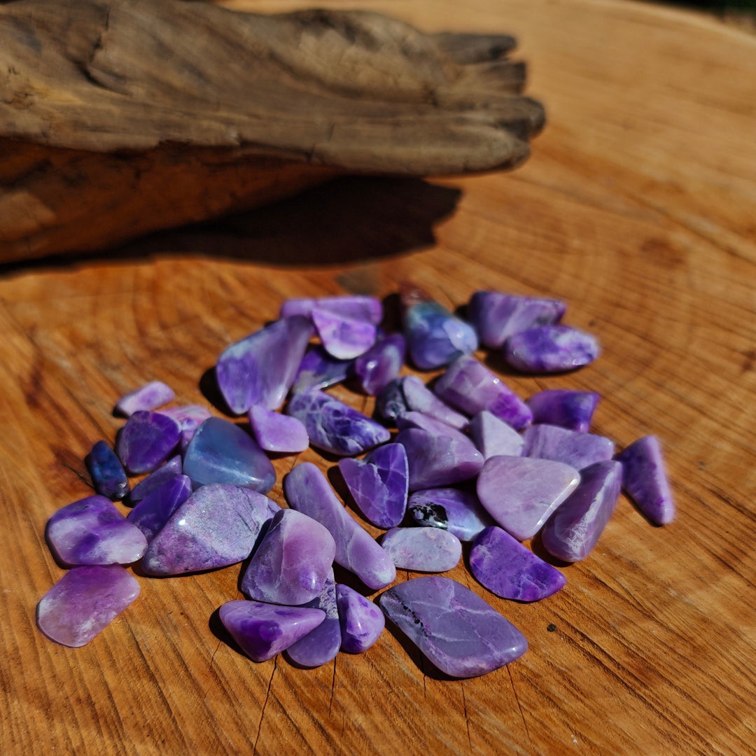 Sugilith hell super Qualität kleine Trommelsteine 20g