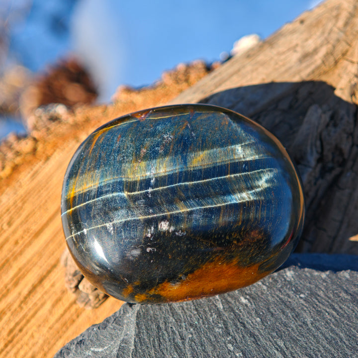 Falkenauge (Weitblick) Handschmeichler (4)