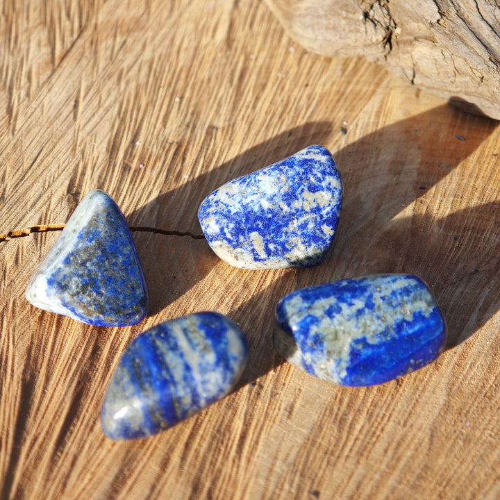 Lapis Lazuli Trommelsteine Chile B Qualität gross 3-4cm