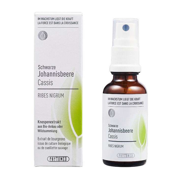 SCHWARZE JOHANNISBEERE Ribes nigrum Knospenextrakt 30ml