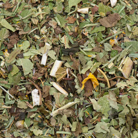 Kräutertee "Plus" - Wassertreibender Tee teilweise BIO 100g