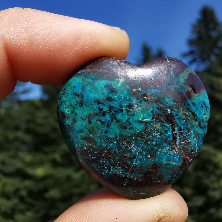 Chrysokoll (Ausgeglichenheit) Herzen 3cm 4 zur individuellen Auswahl