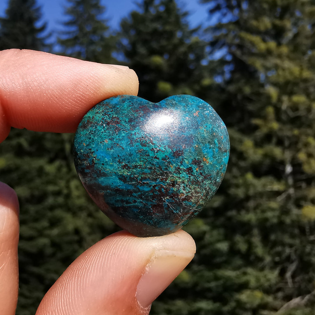 Chrysokoll (Ausgeglichenheit) Herzen 3cm 4 zur individuellen Auswahl