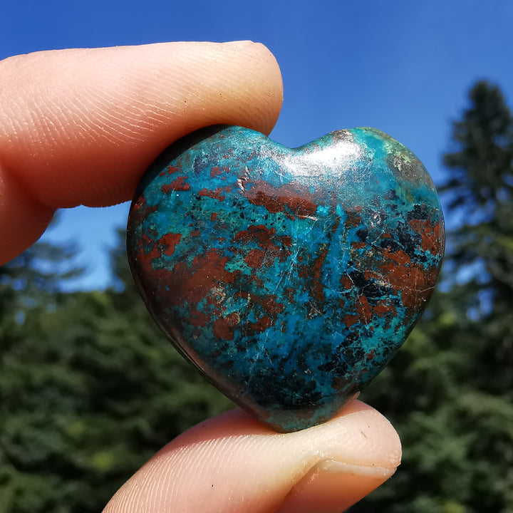 Chrysokoll (Ausgeglichenheit) Herzen 3cm 4 zur individuellen Auswahl