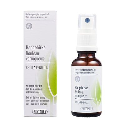 HÄNGEBIRKE Betula pendula Knospenextrakt 30ml
