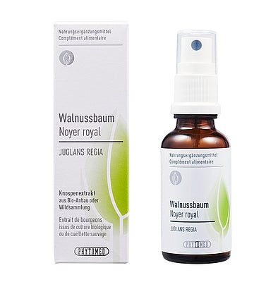 WALNUSSBAUM Juglans regia Knospenextrakt 30ml