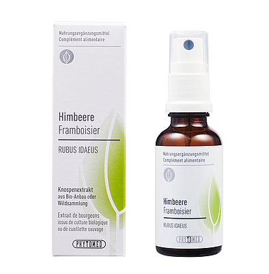 HIMBEERE Rubus idaeus Knospenextrakt 30ml