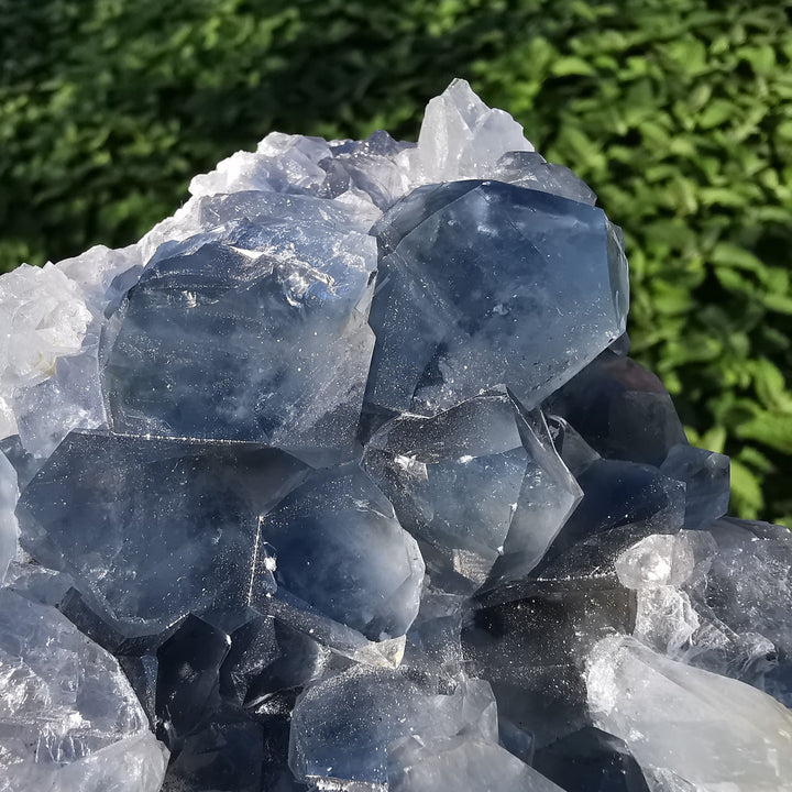 Coelestin Drusenstück TOP 1.3kg